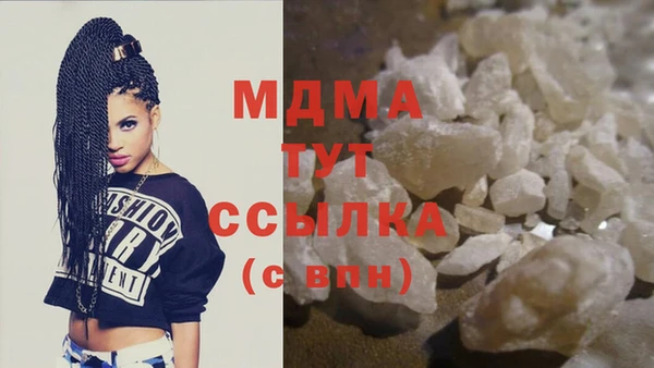 гидра Богородицк