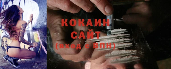гидра Богородицк