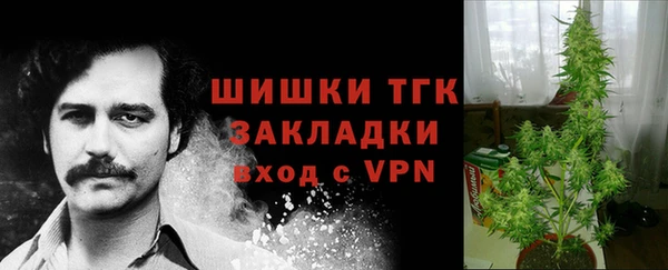 гидра Богородицк
