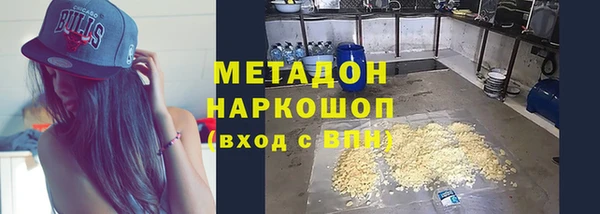 гидра Богородицк