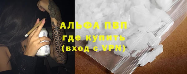 гидра Богородицк