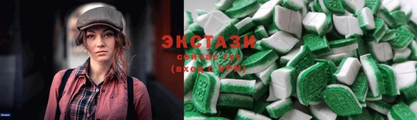 гидра Богородицк