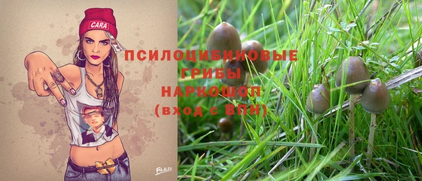 Альфа ПВП Богданович