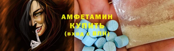 гидра Богородицк
