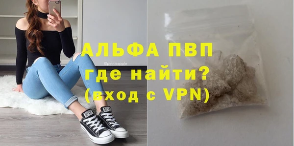 гидра Богородицк
