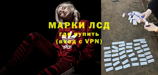 гидра Богородицк