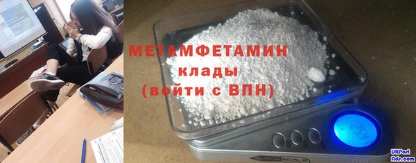 гидра Богородицк
