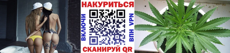 закладки  Мезень  Марихуана индика 